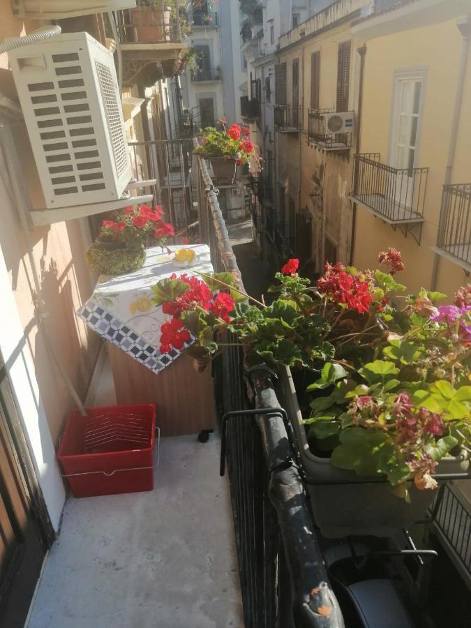 Casa Ligia Aurora * Palermo