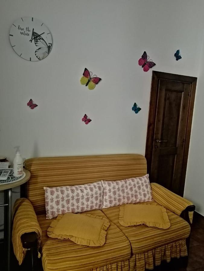 Casa Ligia Aurora Bed & Breakfast