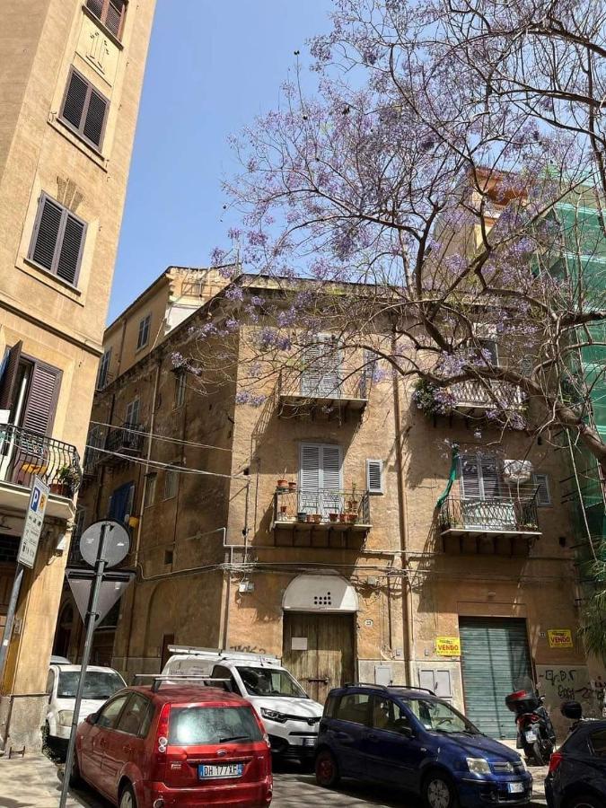 La Belle Epoque Appartament Apartamento