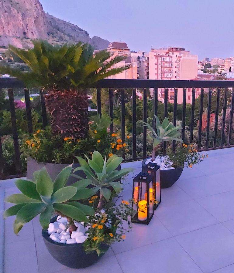 Gebel Grin Apartment