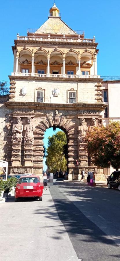 Biddizzi *