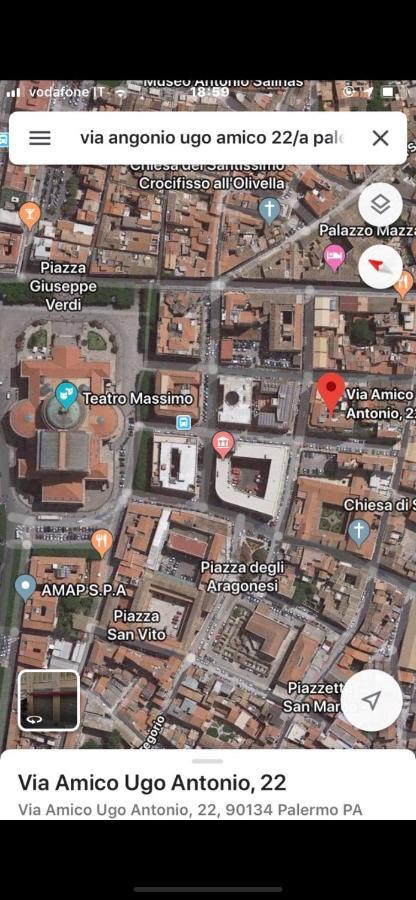 Un Raggio Di Sole Al Massimo Palermo