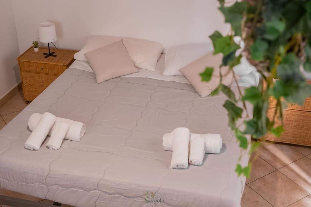 La Pergola The Art Of Living In Apartment