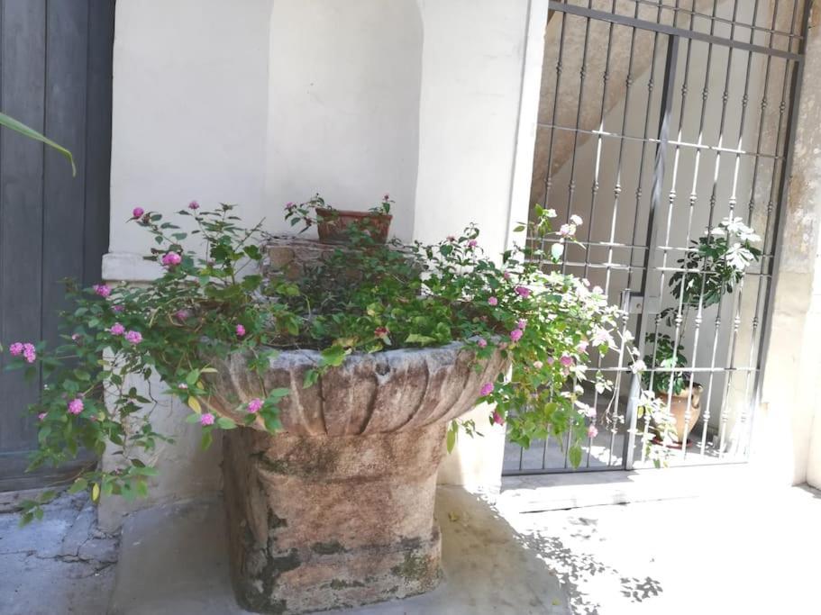 Residenza Lincoln Palermo