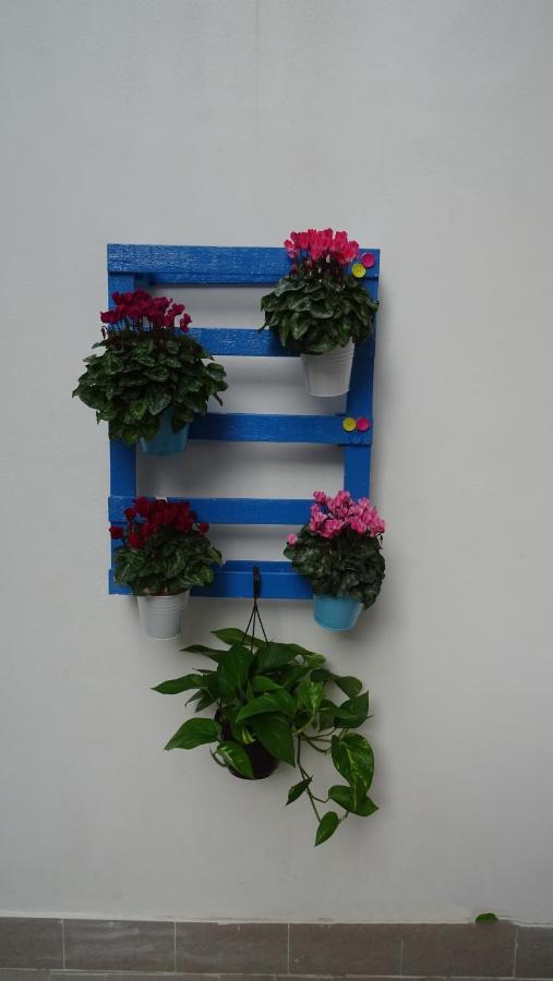 Il Giardino Segreto