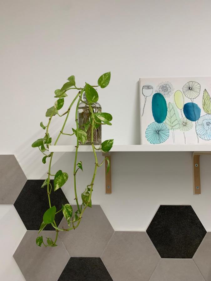 Kemonia Apartment *