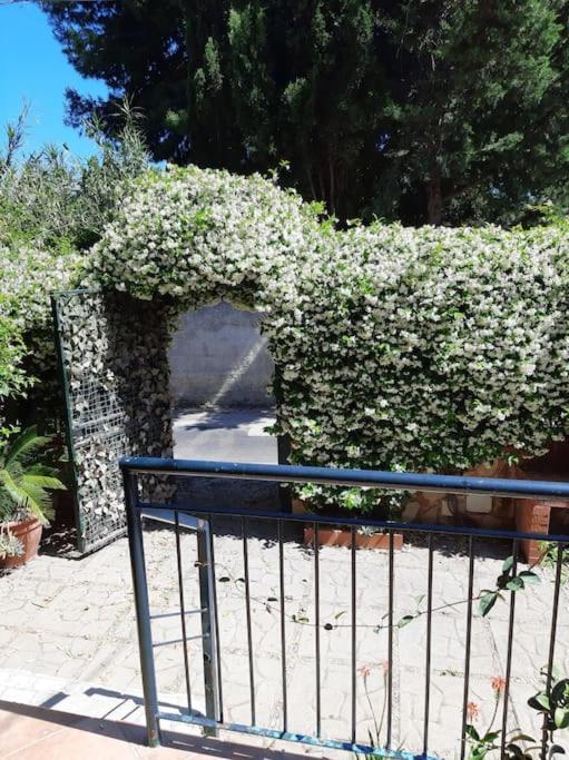 Casa Di Enrico Appartamento Palermo