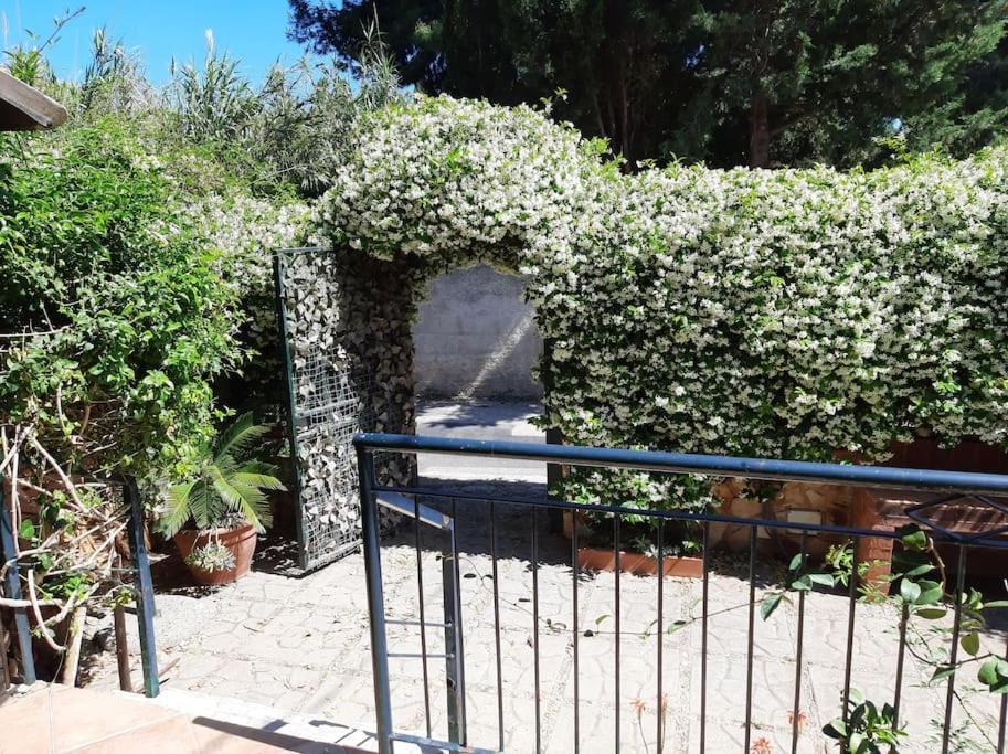 Casa Di Enrico * Palermo