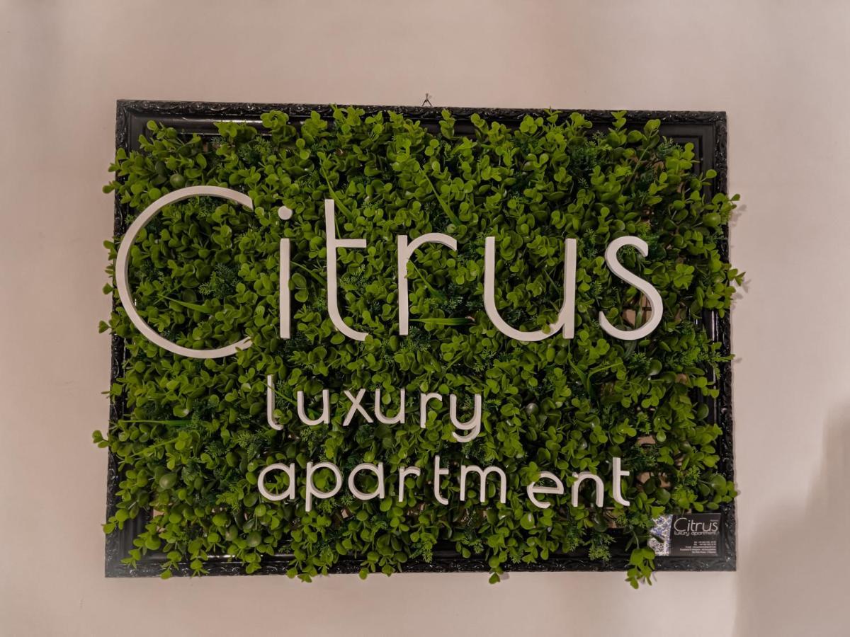 Citrus Luxury - With Up To 3 Bedrooms In Center Ferienhaus Palermo