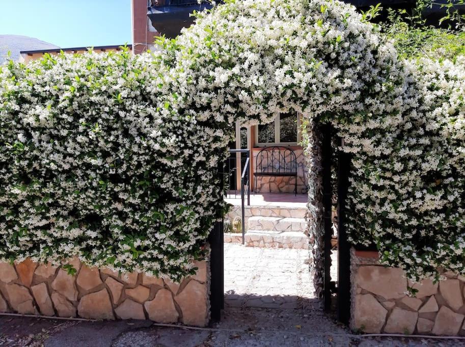 Casa Di Enrico Appartamento