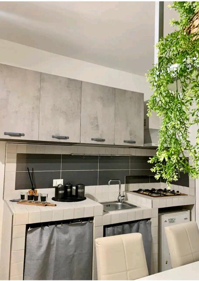 Montesanto House * Palermo