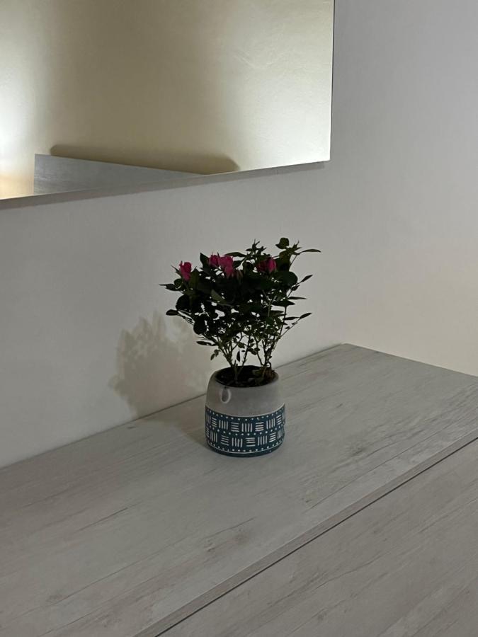 Apartment Spyda