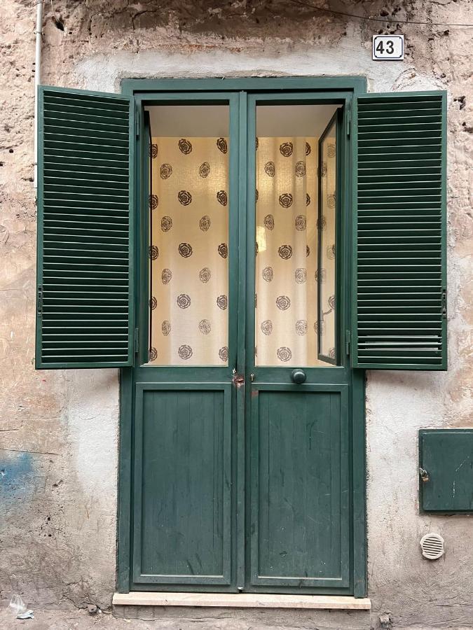 L'angolo Delle Nuove *