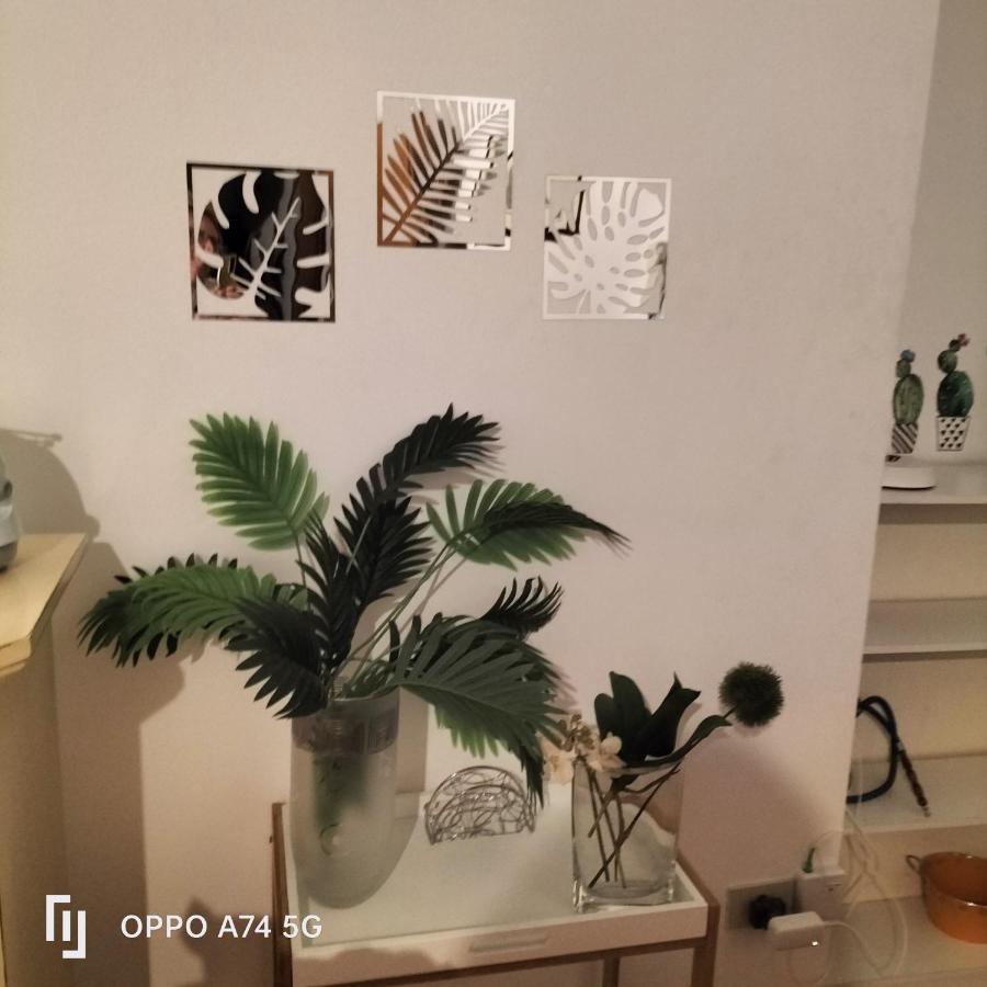 Vucciria's House Centro Storico Apartment Palermo