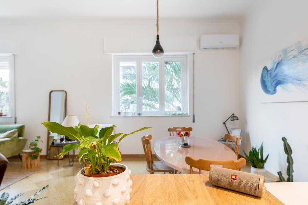 Luce's Apartment Palermo