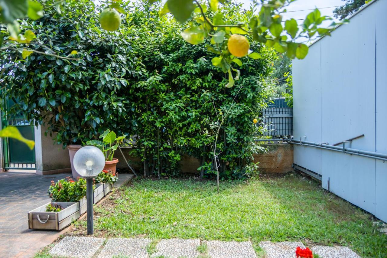 Anthea Apartment