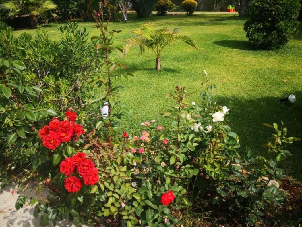 Cozy Suite&lodge Mondello Apartment *
