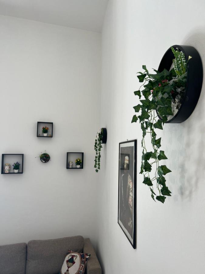Pasetti House * Palermo