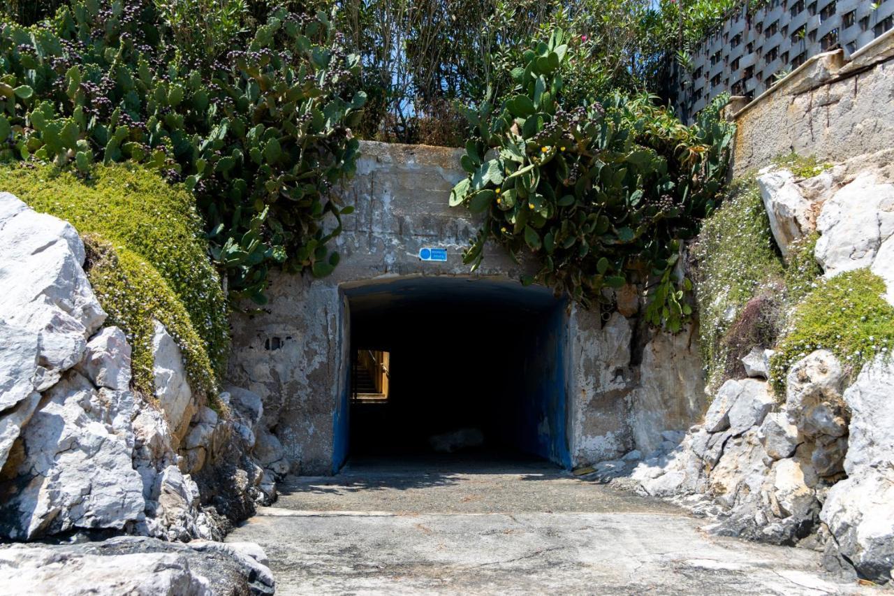 Ashur Mondello Palermo