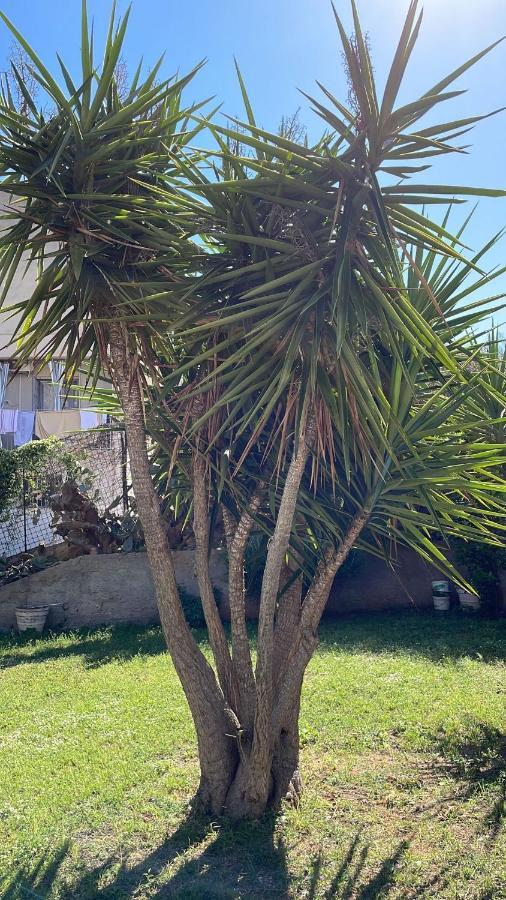 Holiday home Casa Vacanza Palermo
