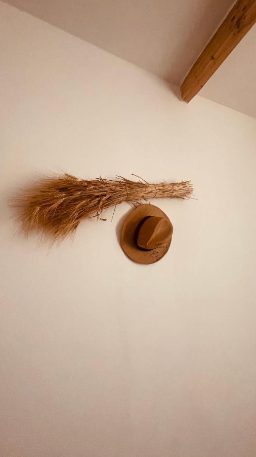 Interno12 Appartamento