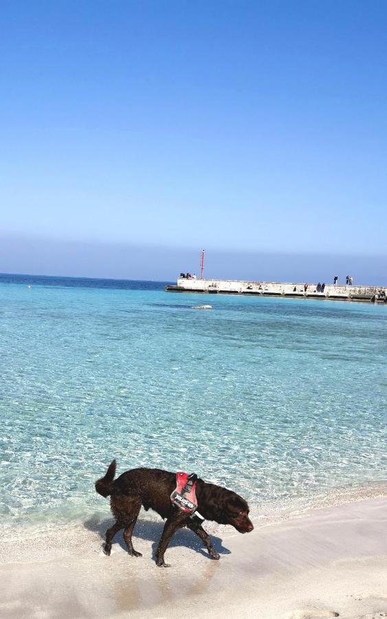 Happy - Mondello Palermo