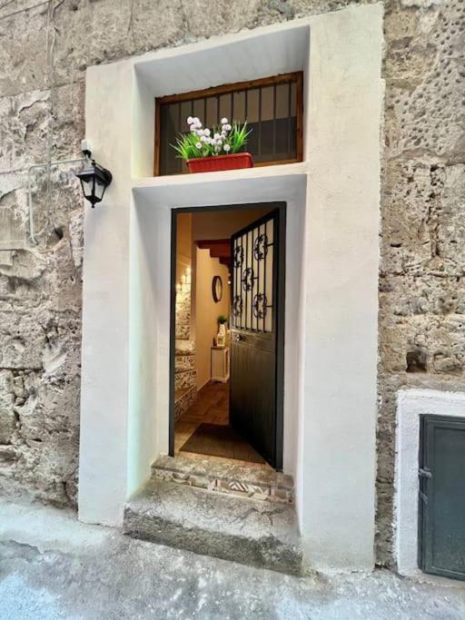 Appartamento Little House 51, *