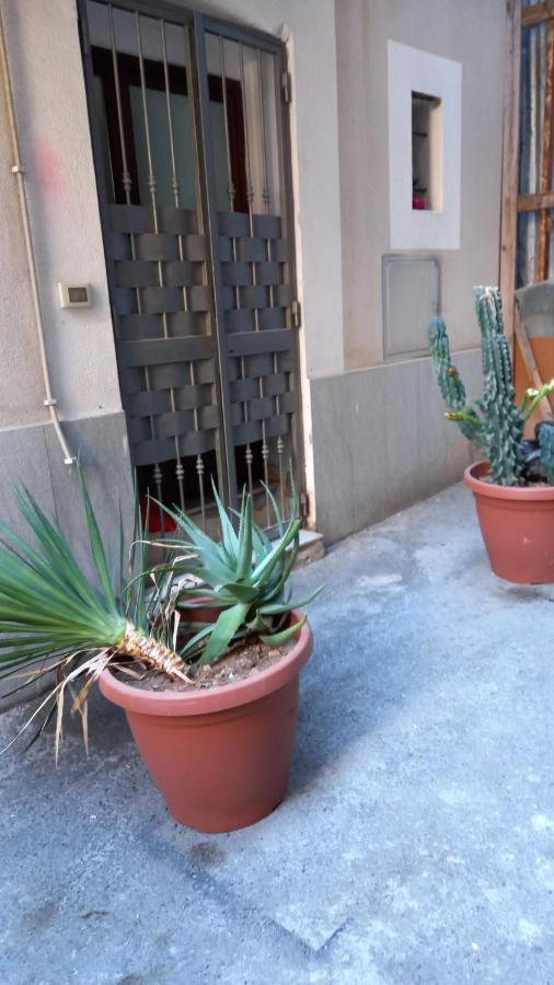Apartment Viola Palermo