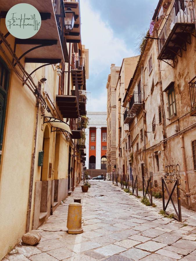 Apartment Ecohouse Panhormos - Smartworking Ready Palermo