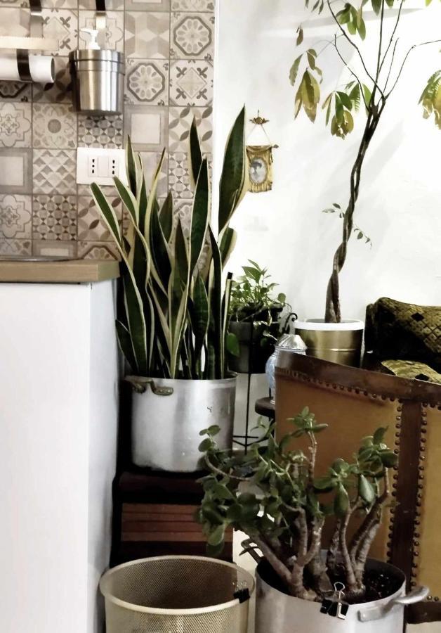 Apartment Piccolo Loft In Centro Storico Palermo