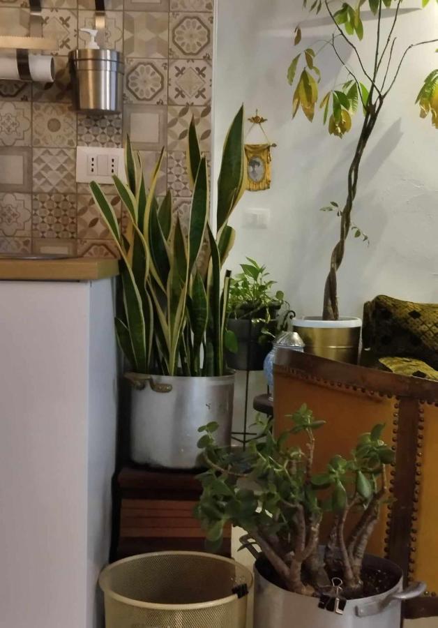 Piccolo Loft In Centro Storico Apartment Palermo