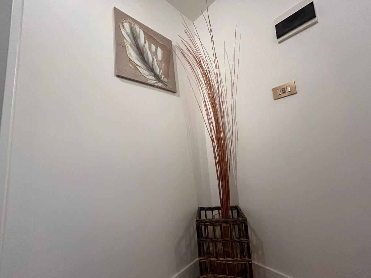 Soft House - Vacanze In Centro -
