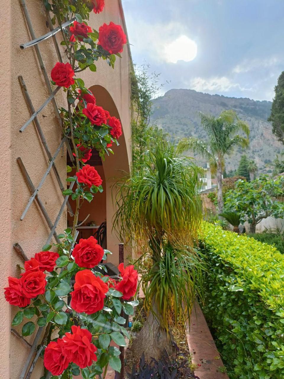 Cozy Suite&lodge Mondello Apartment *