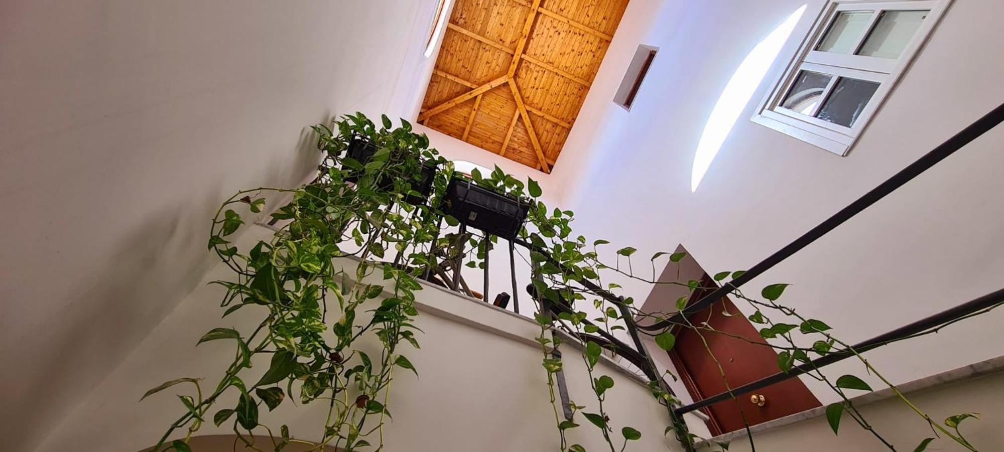 Casa Rivoluzione *