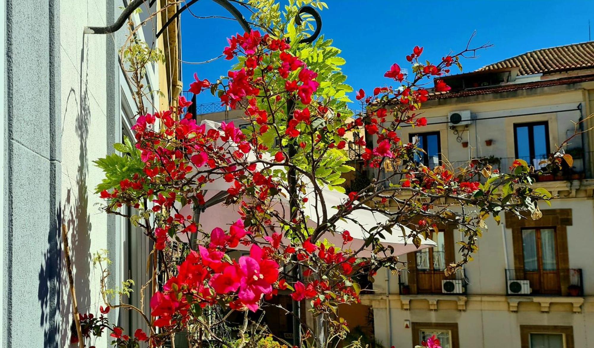 Casa Rivoluzione *