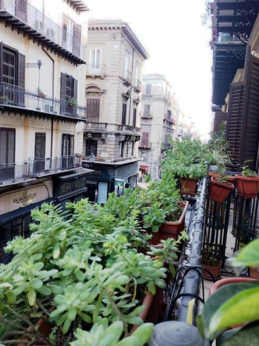 Quattro Canti - Residenza Santa Caterina *