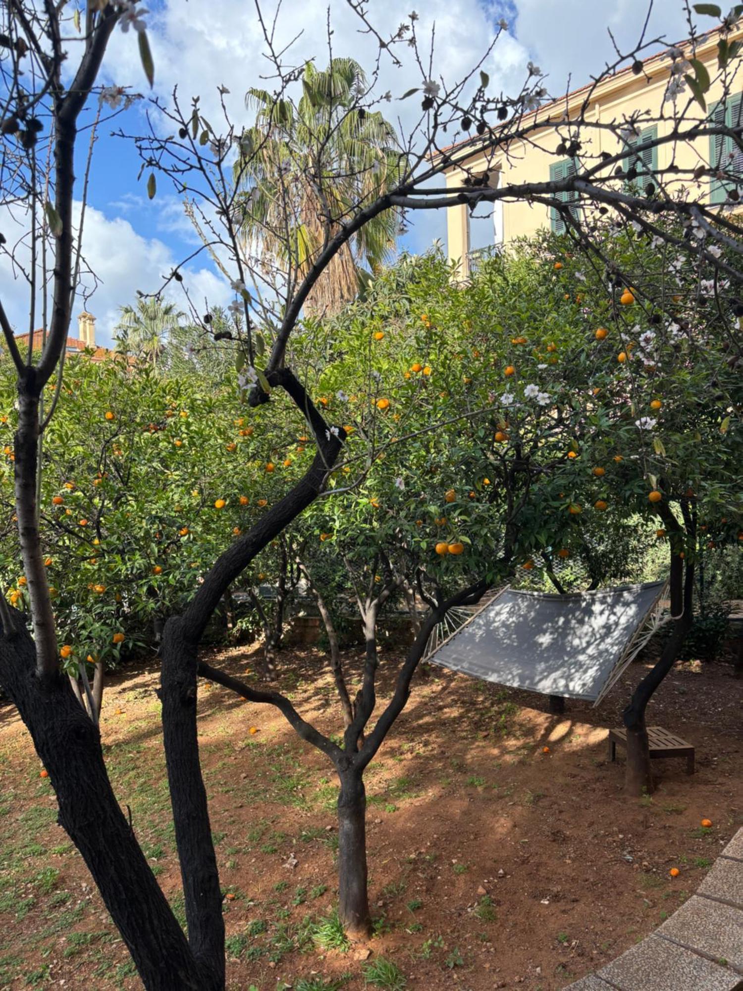 Matteotti Living And Garden Apartment