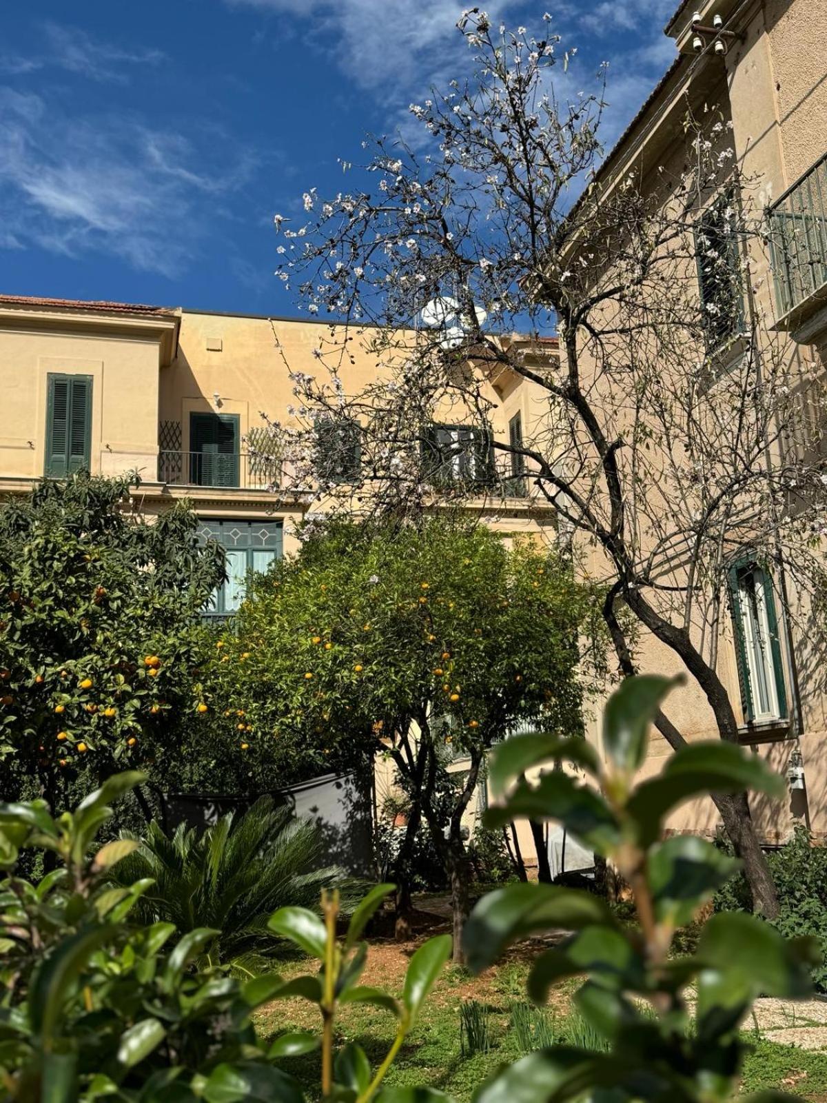 Matteotti Living And Garden Palermo