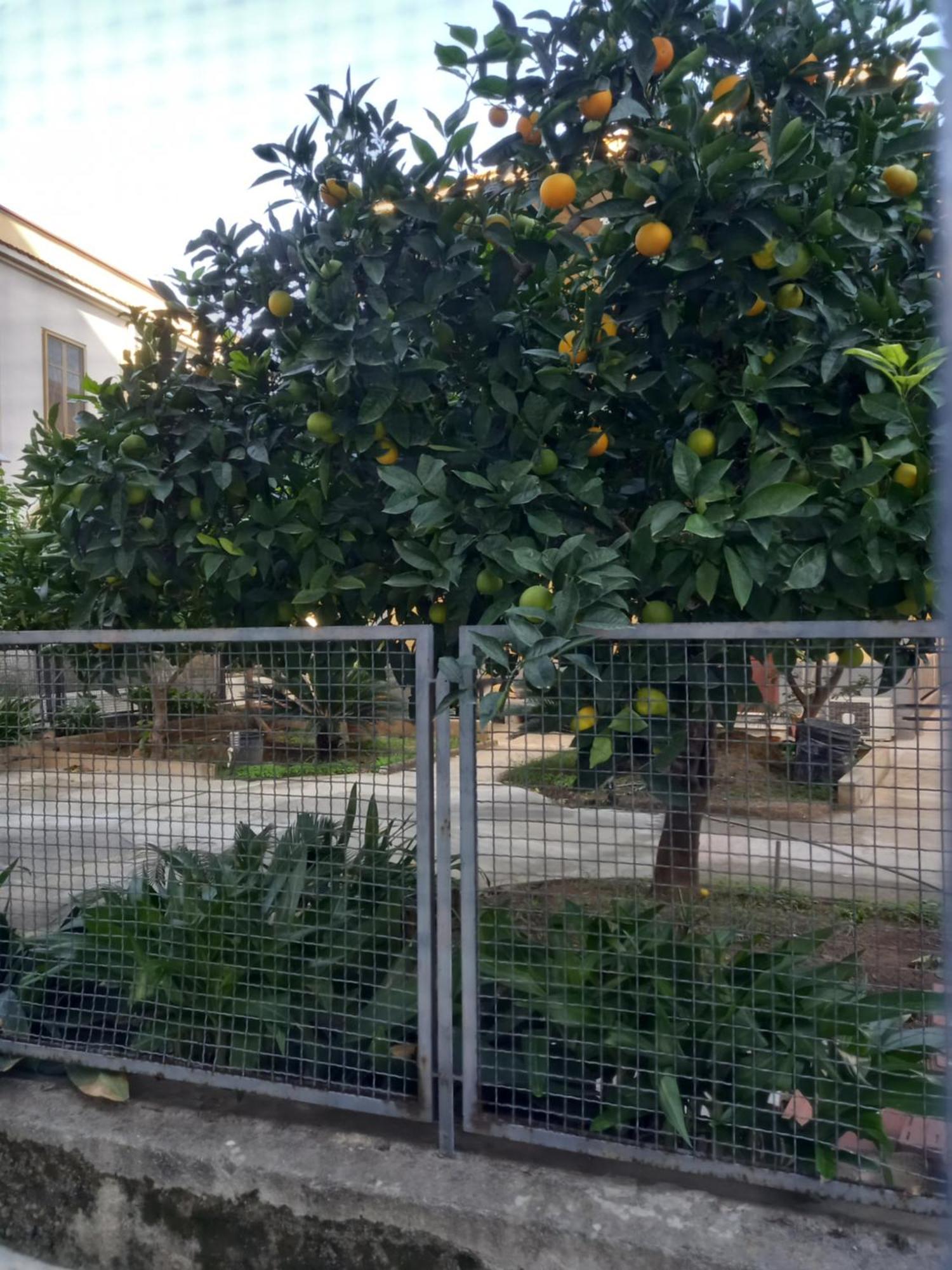 Momenti E Monumenti Holiday home Palermo