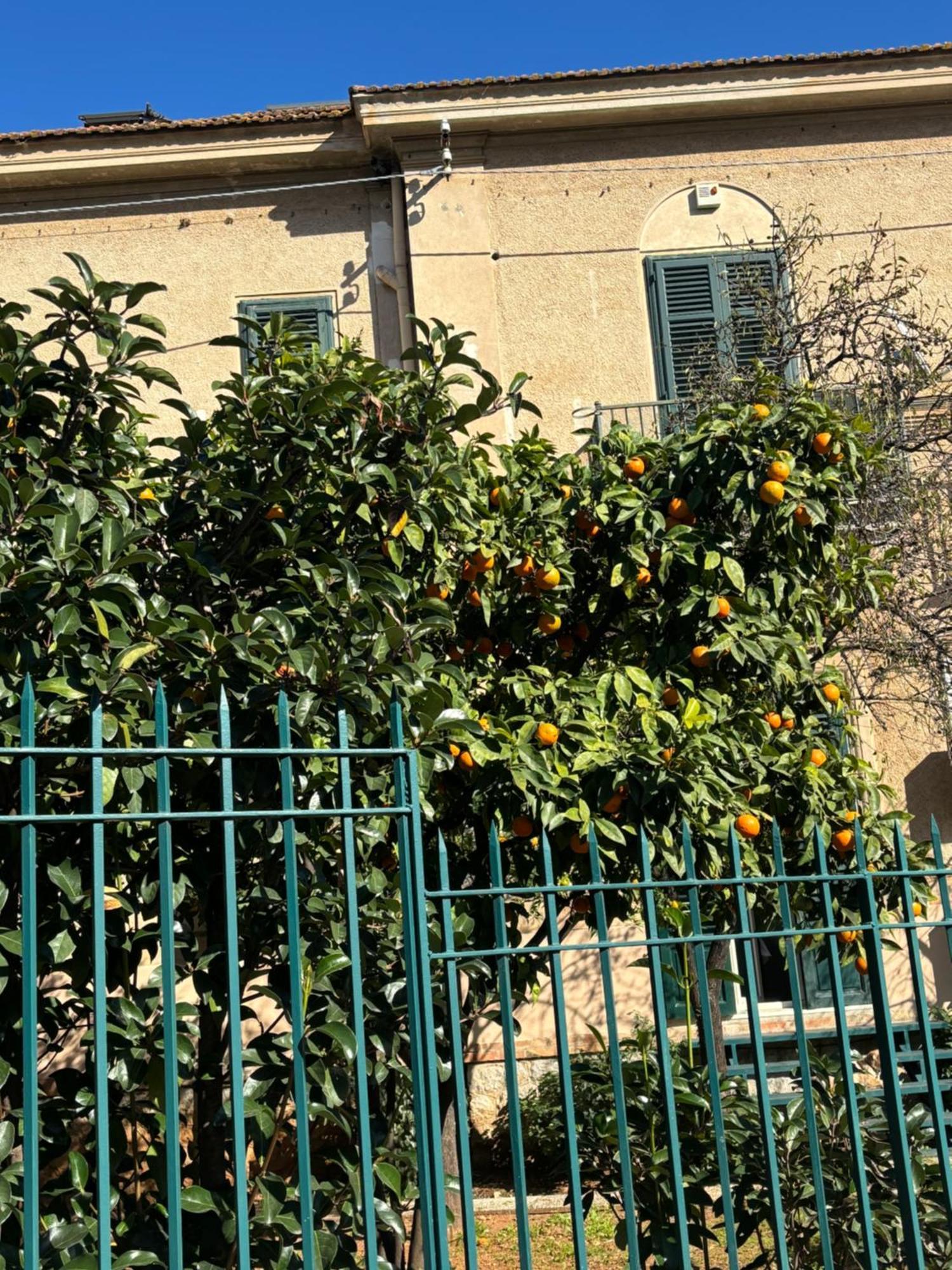 Apartment Matteotti Living And Garden *