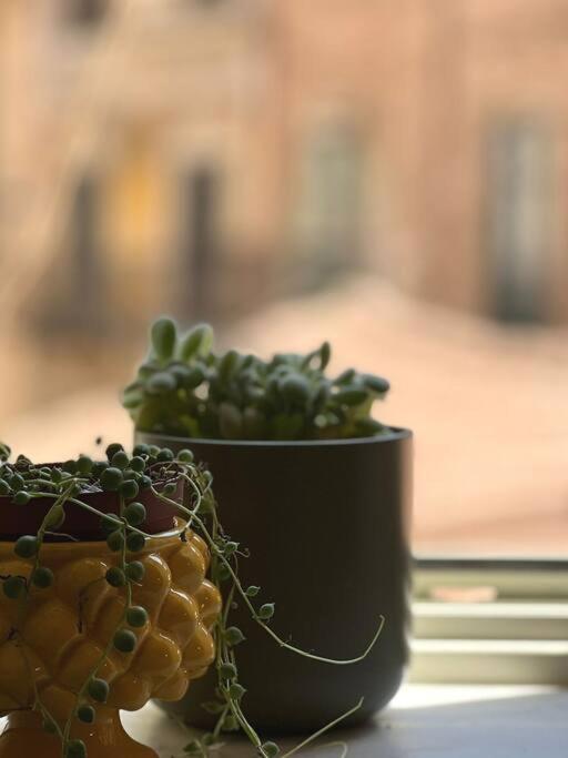 Apartment Terrazza Sul Mercato. Your House In Ballaro