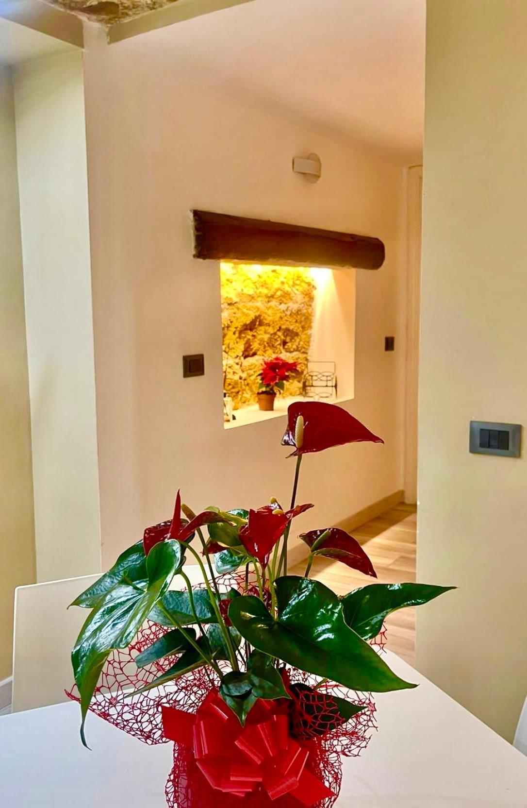 Apartment A Centro Vicino Stazione Mercato E Attrazioni *