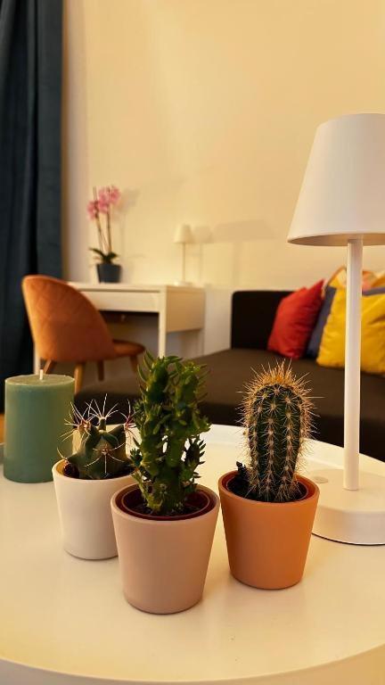 Apartment Light