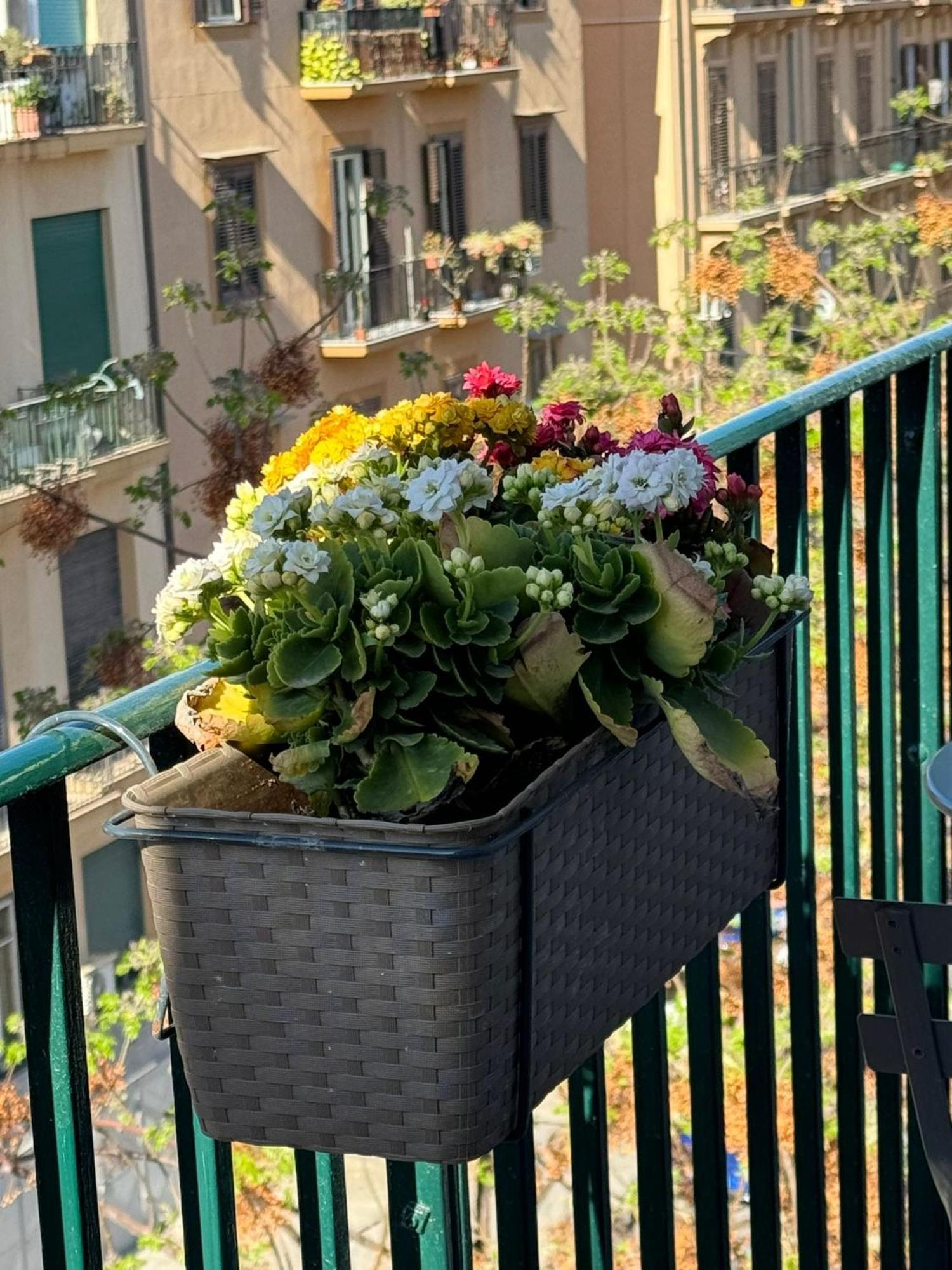 Apartamento Di Fresco - House *