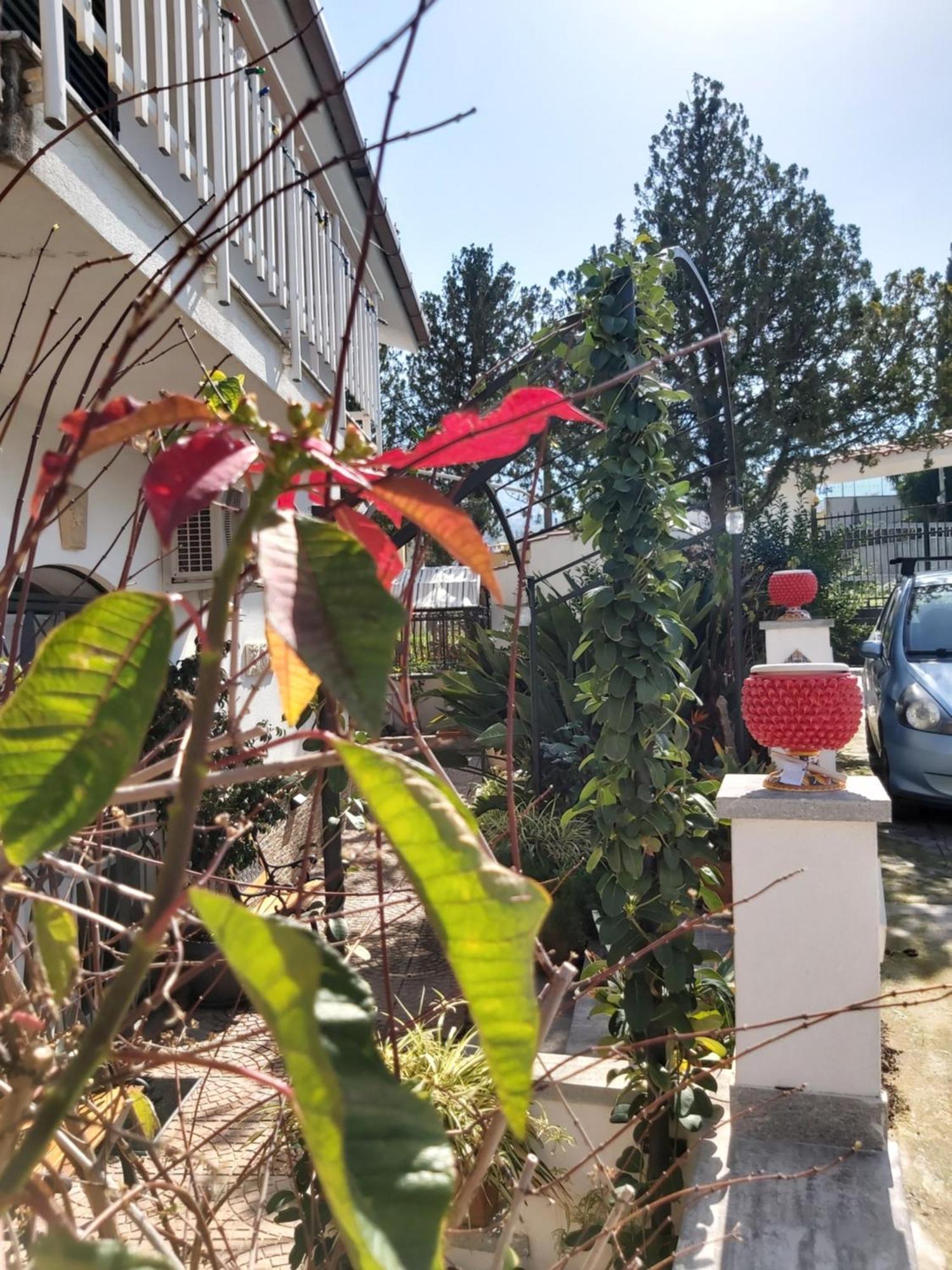 La Perla Della Conca D'oro Holiday home Palermo