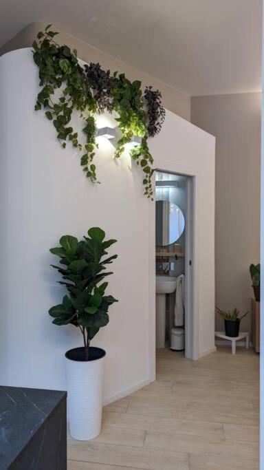 Apartamento Don Armando Al Massimo *