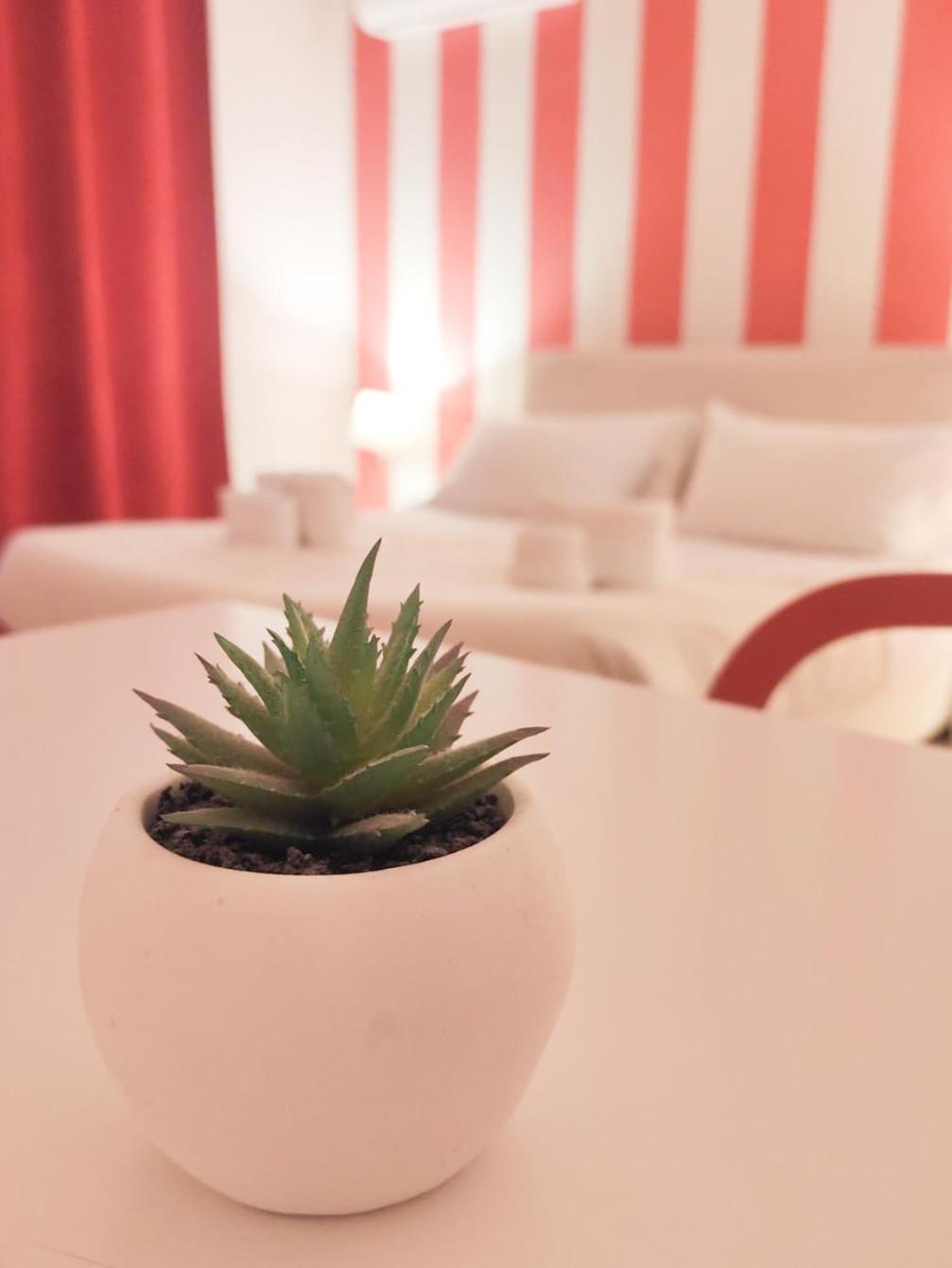 Bed & Breakfast Palermo Central B&B
