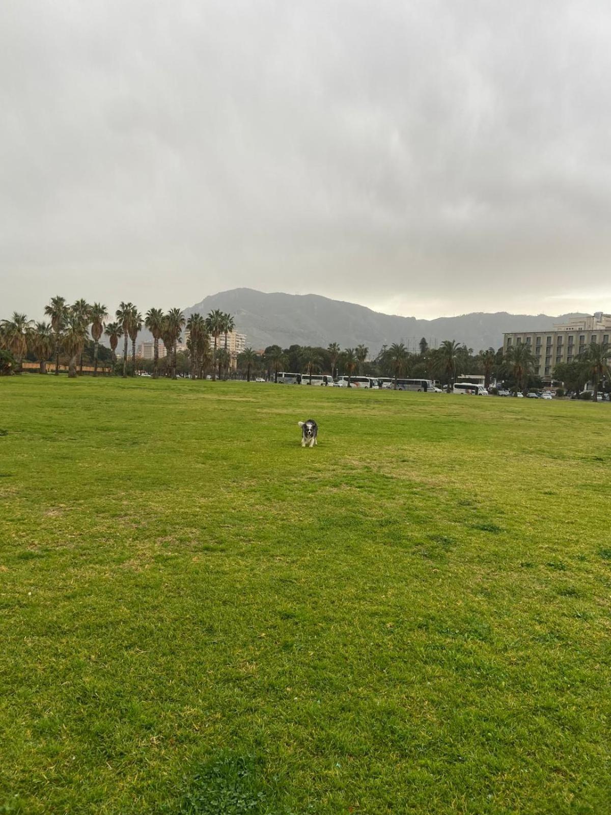 I Giardini Di Giulia Palermo