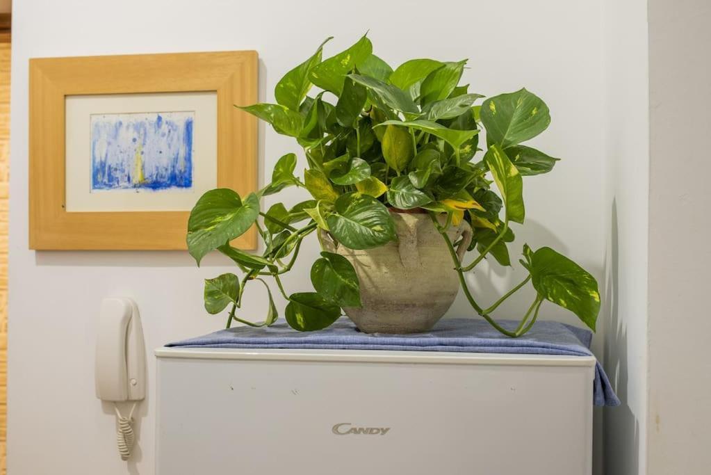 Appartamento Casa Dell'artista Cozy In Vucciria Palermo