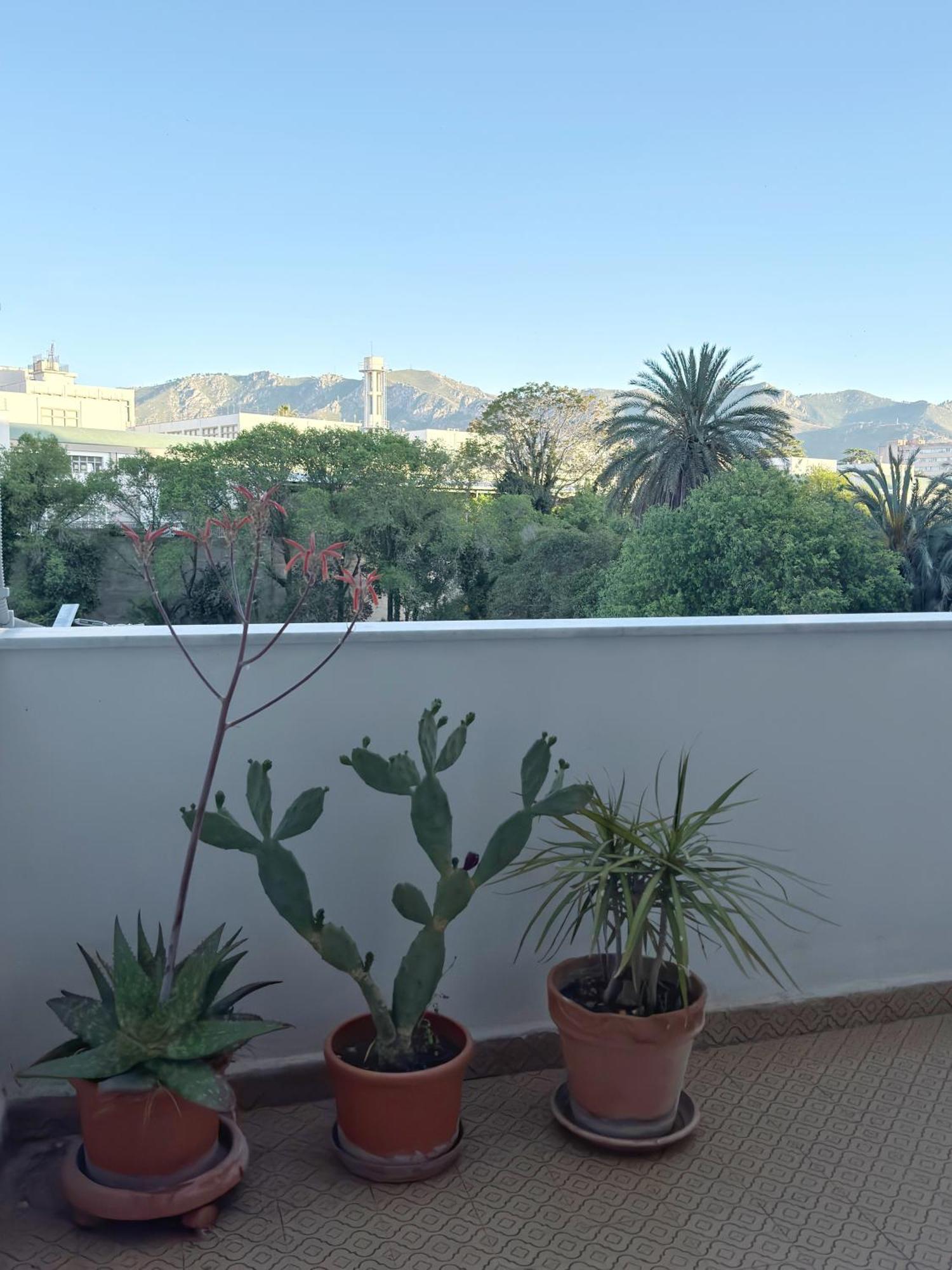 Casa Indipendenza - Cattedrale Apartamento *